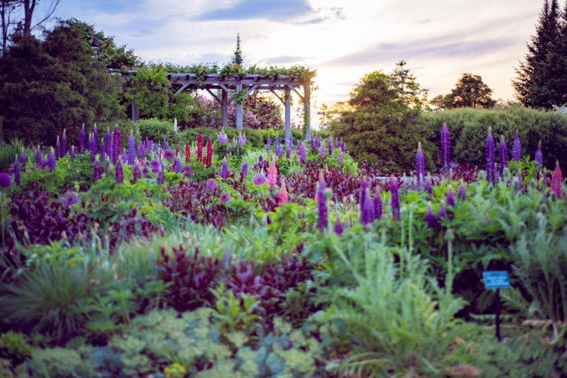 Coastal Maine Botanical Gardens, United States